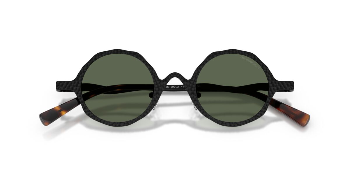 Emporio Armani EA2166 3001/2