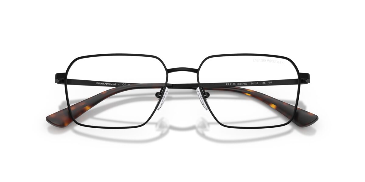 Emporio Armani EA2178 30011W