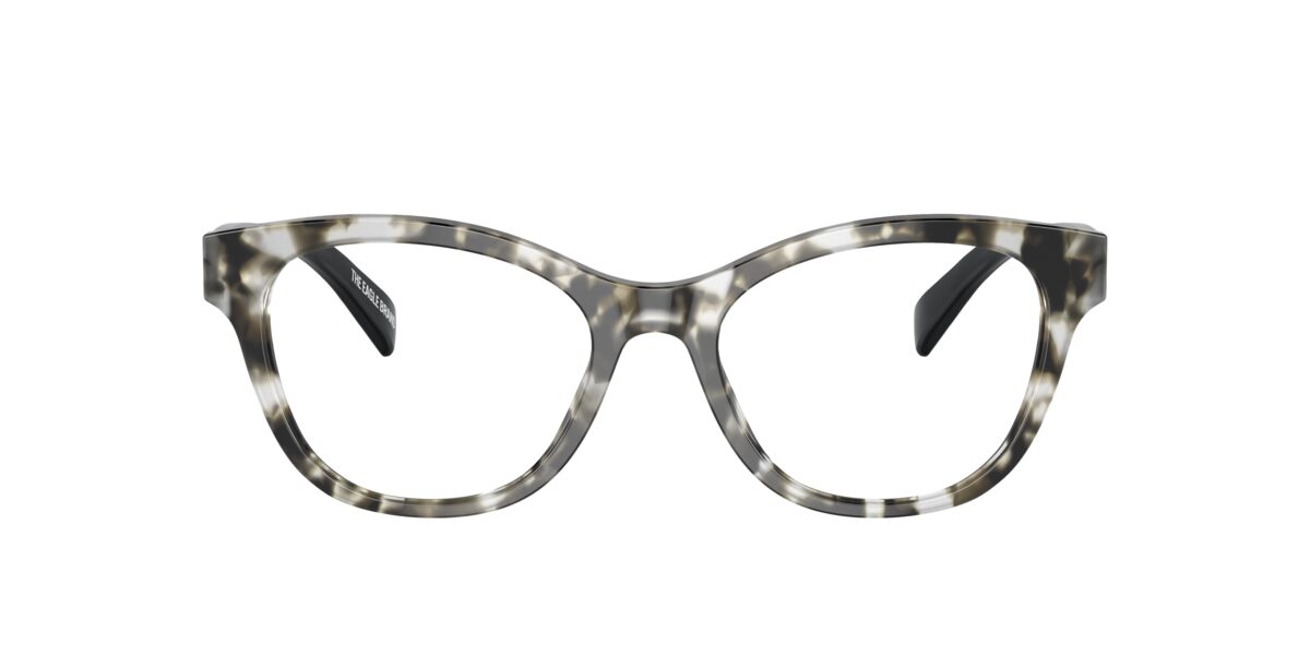 Emporio Armani EA3162 5193