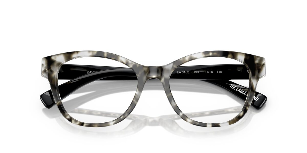 Emporio Armani EA3162 5193