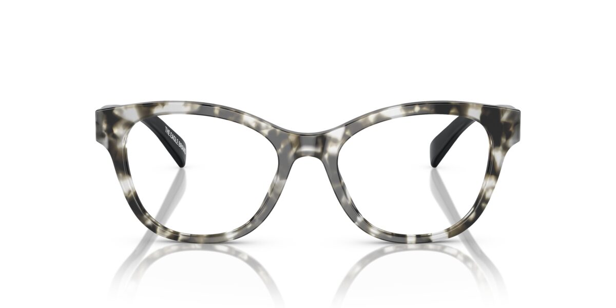 Emporio Armani EA3162 5193