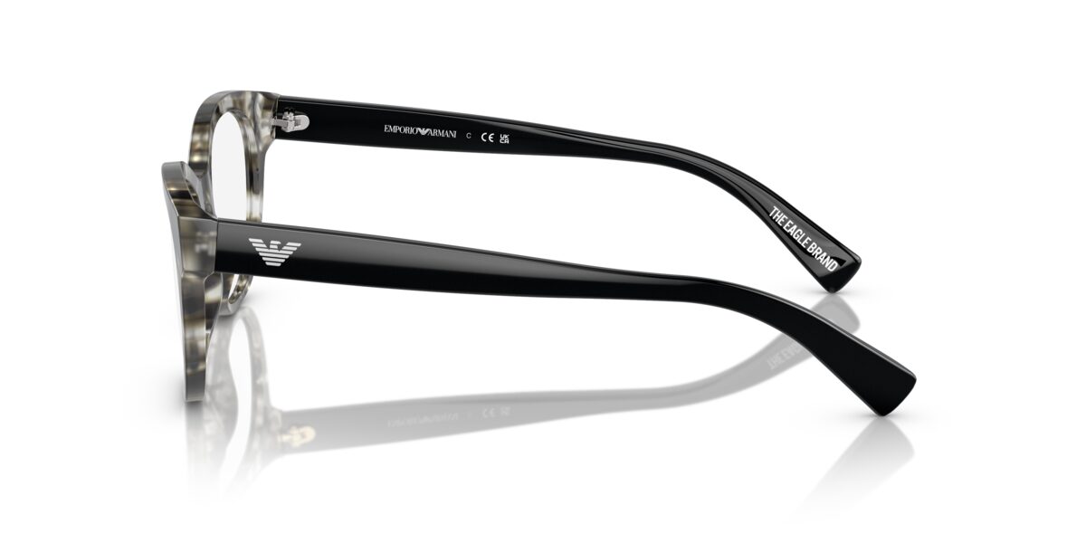 Emporio Armani EA3162 5193