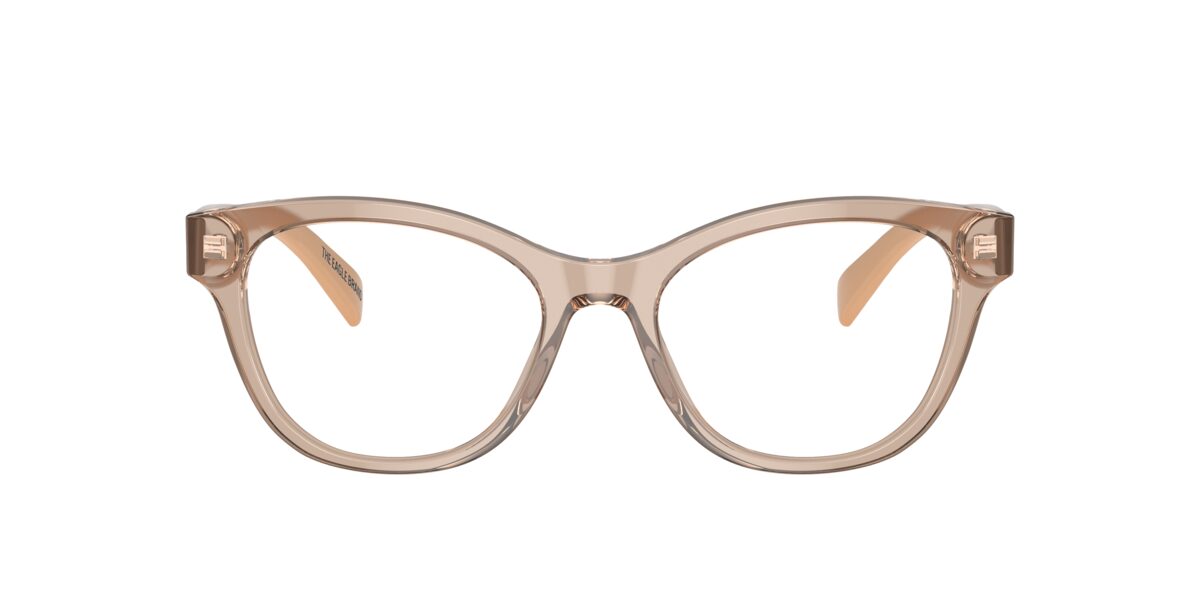 Emporio Armani EA3162 5850