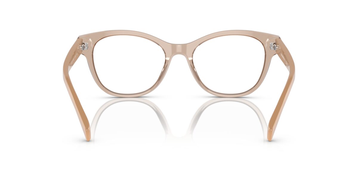Emporio Armani EA3162 5850