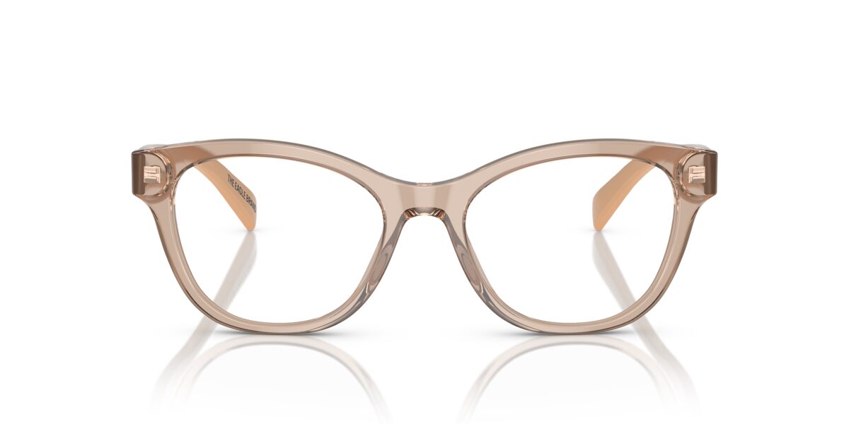 Emporio Armani EA3162 5850