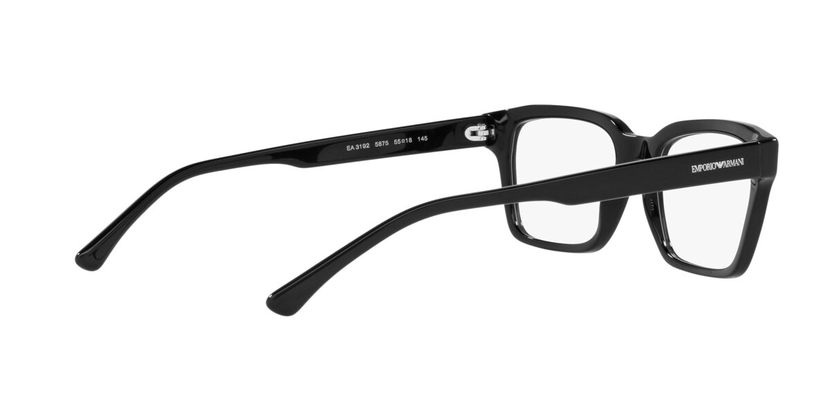 Emporio Armani EA3192 5875
