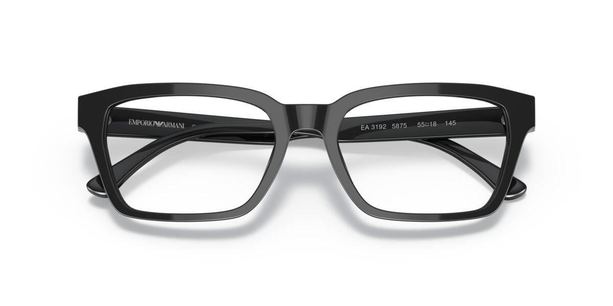 Emporio Armani EA3192 5875