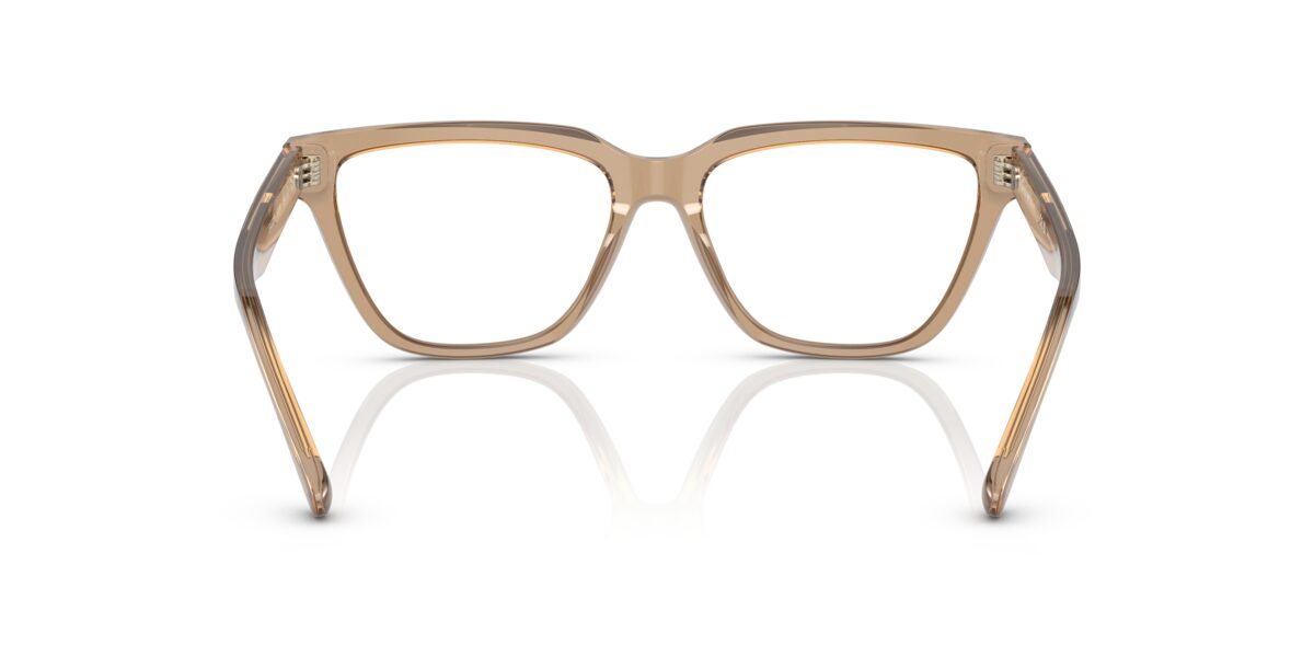 Emporio Armani EA3208 5069
