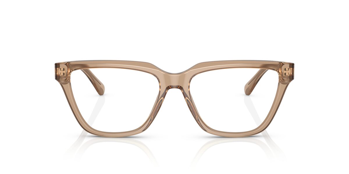 Emporio Armani EA3208 5069