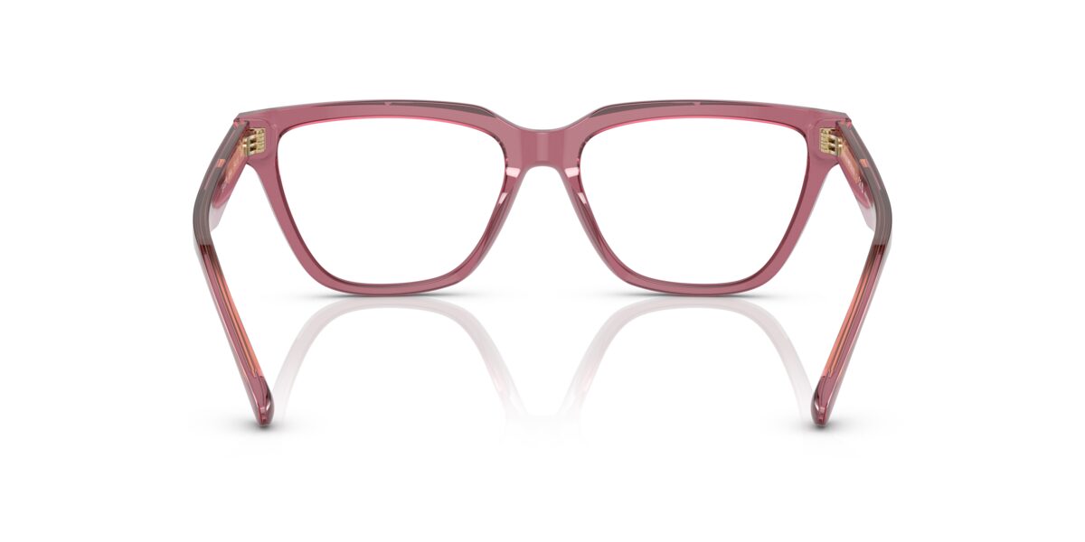 Emporio Armani EA3208 5544
