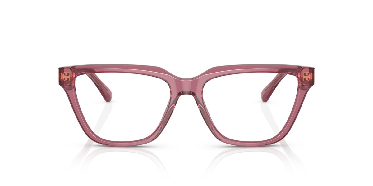 Emporio Armani EA3208 5544