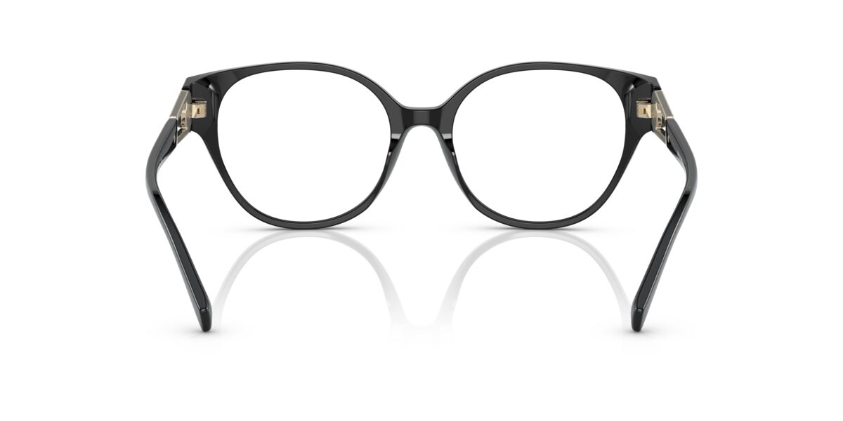 Emporio Armani EA3211 5017