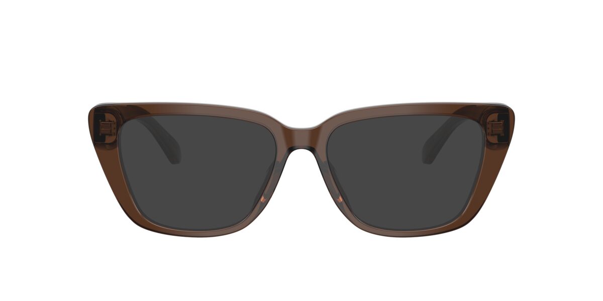 Emporio Armani EA3256U 6251