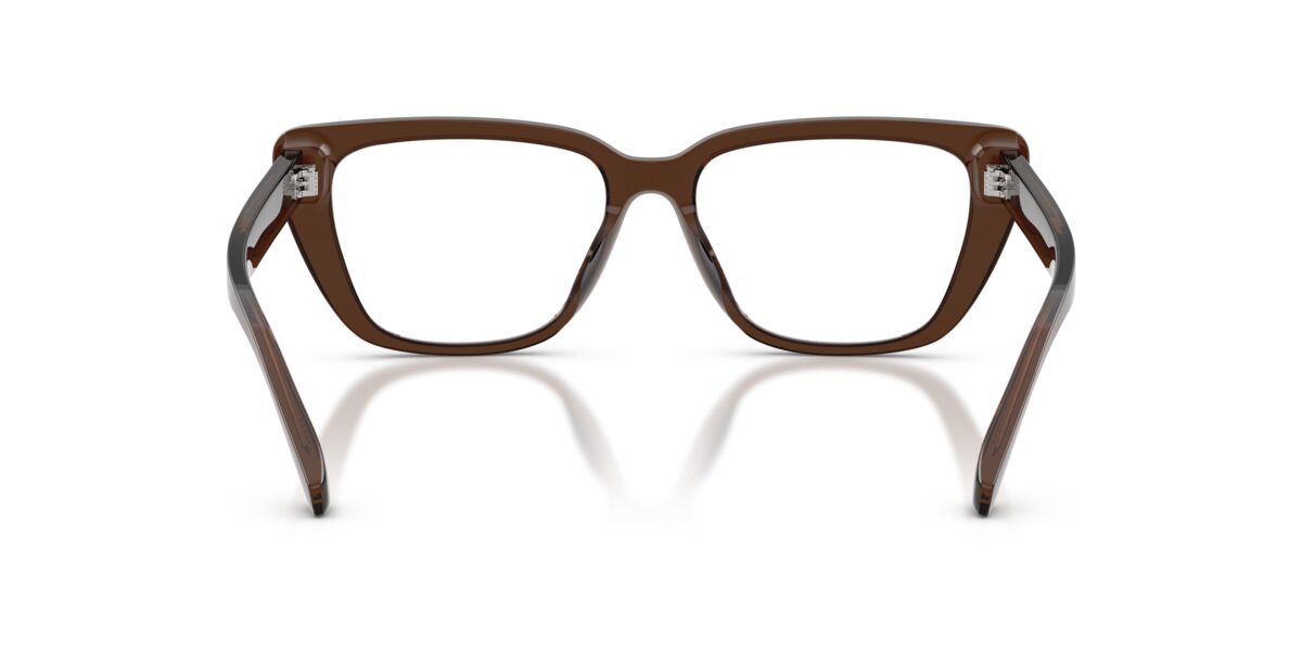 Emporio Armani EA3256U 6251