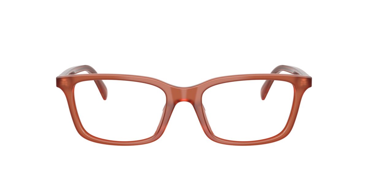 Emporio Armani EA3290U 6455