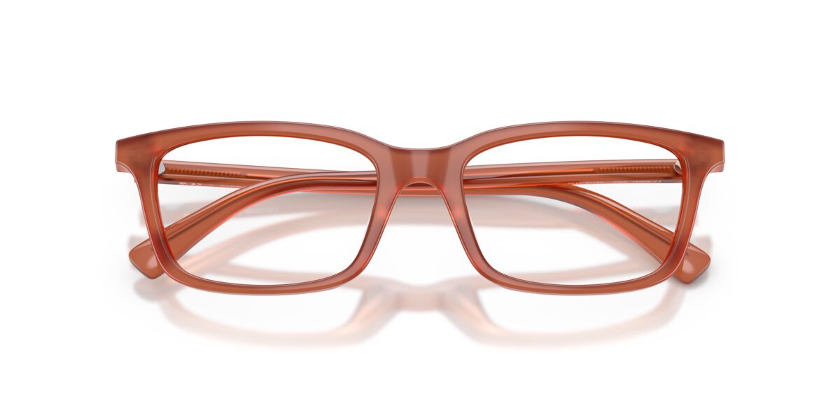 Emporio Armani EA3290U 6455