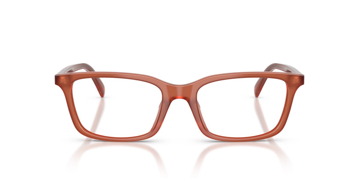 Emporio Armani EA3290U 6455