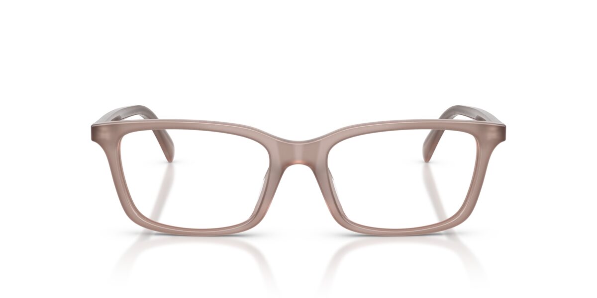 Emporio Armani EA3290U 6456