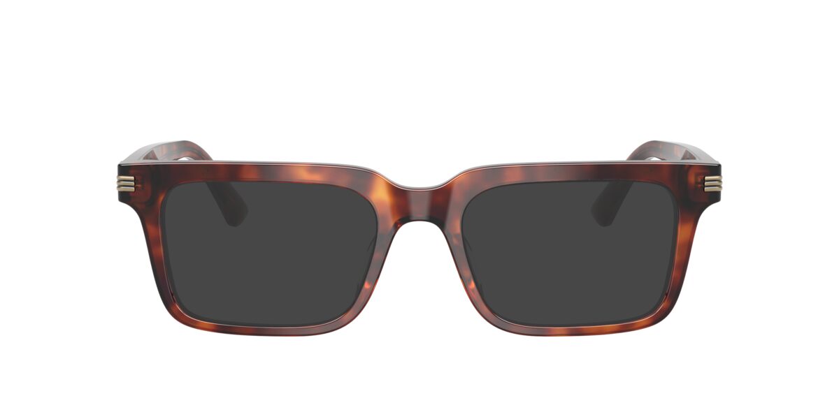 Emporio Armani EA3293U 6034