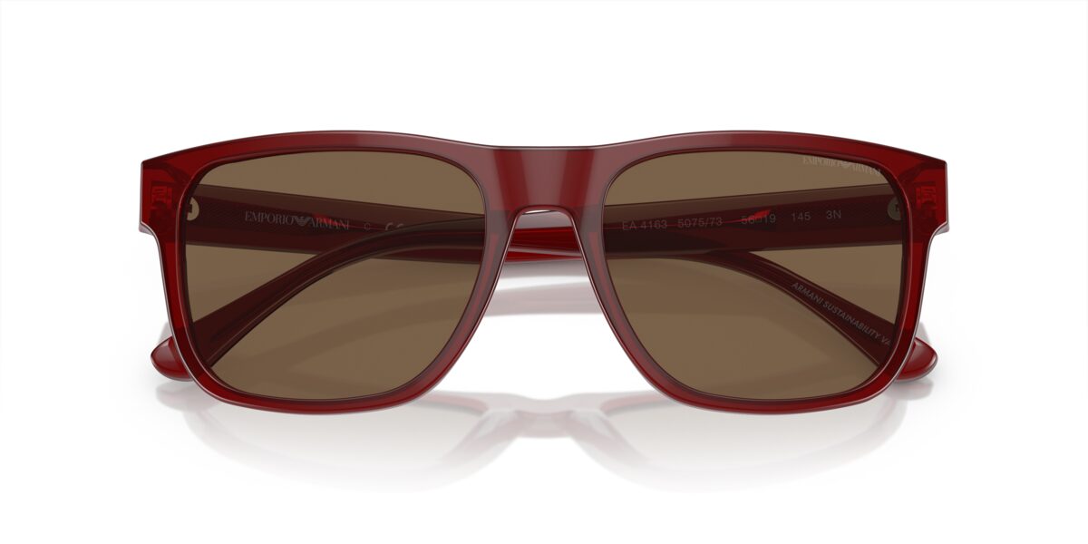 Emporio Armani EA4163 507573