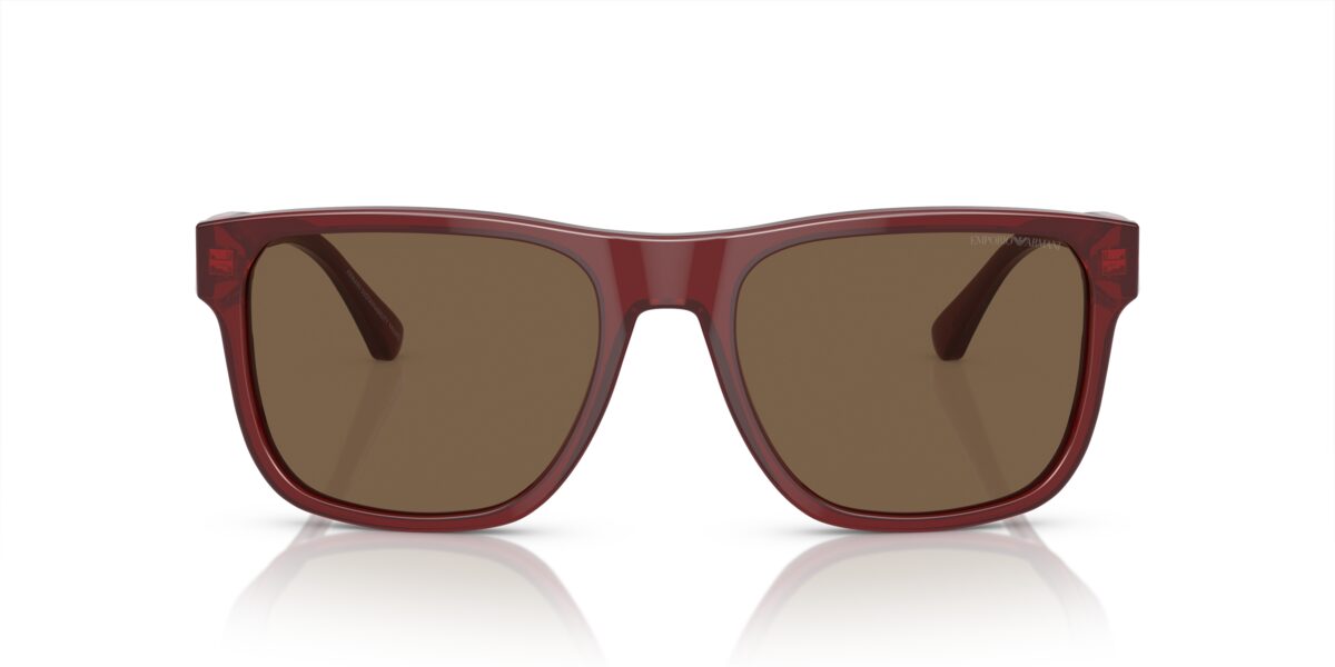 Emporio Armani EA4163 507573
