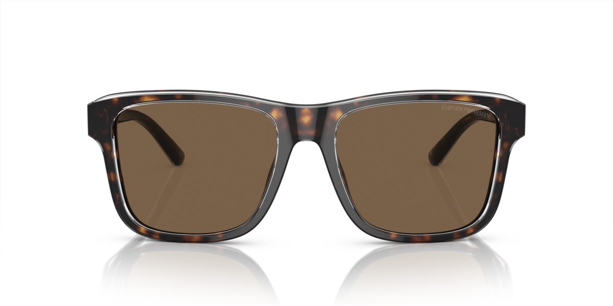 Emporio Armani EA4208 605273
