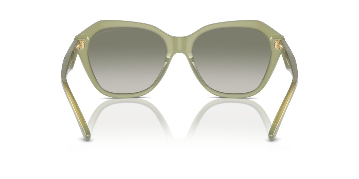 Emporio Armani EA4221 61168E