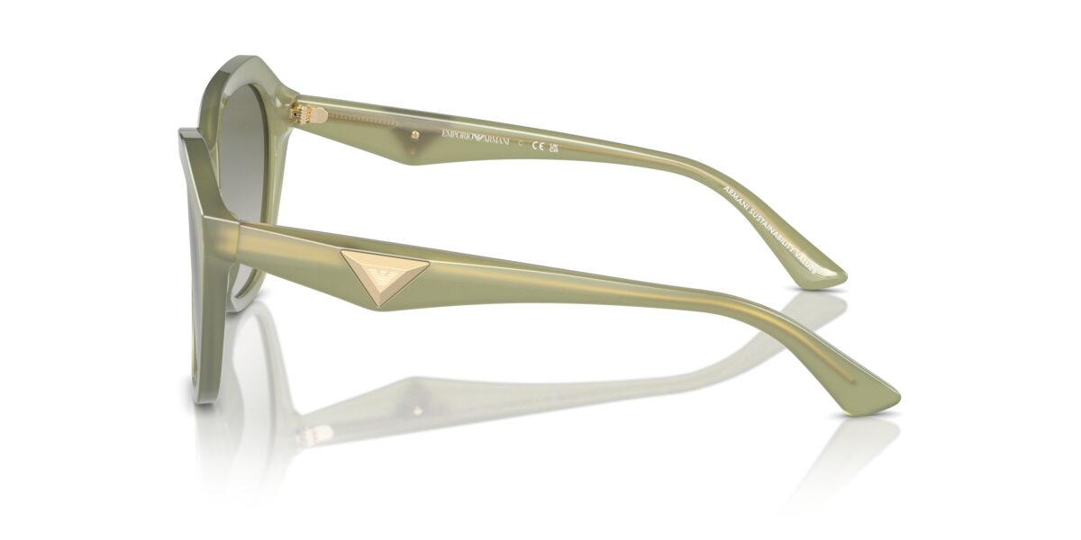 Emporio Armani EA4221 61168E