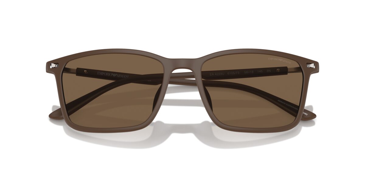Emporio Armani EA4223U 610573