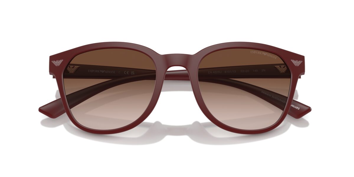 Emporio Armani EA4225U 610113