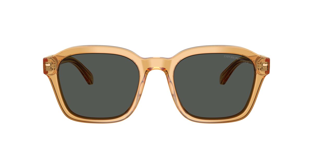 Emporio Armani EA4245U 624687