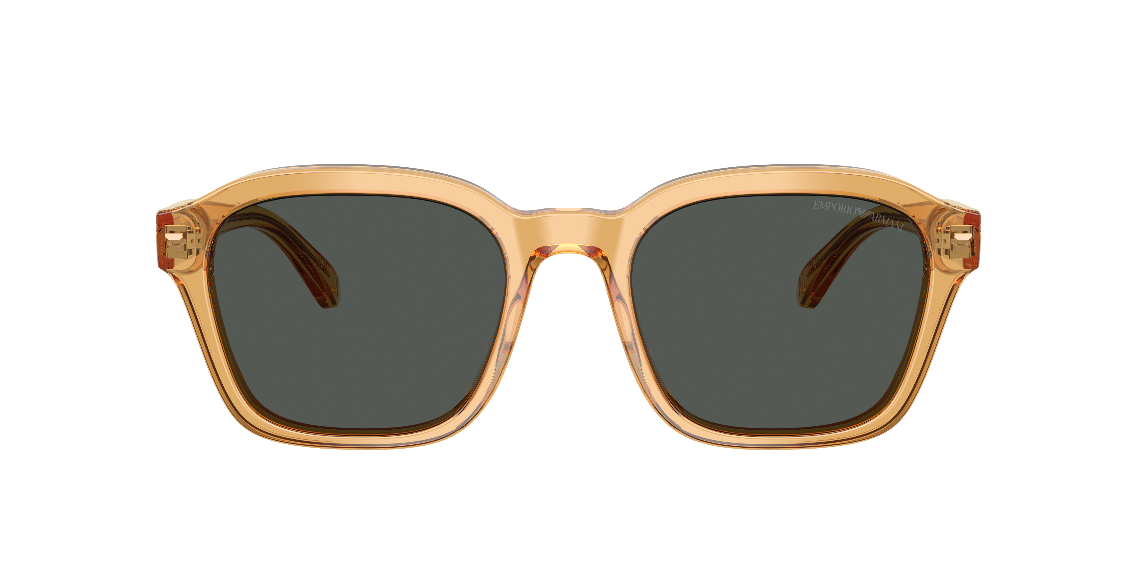Emporio Armani EA4245U 624687