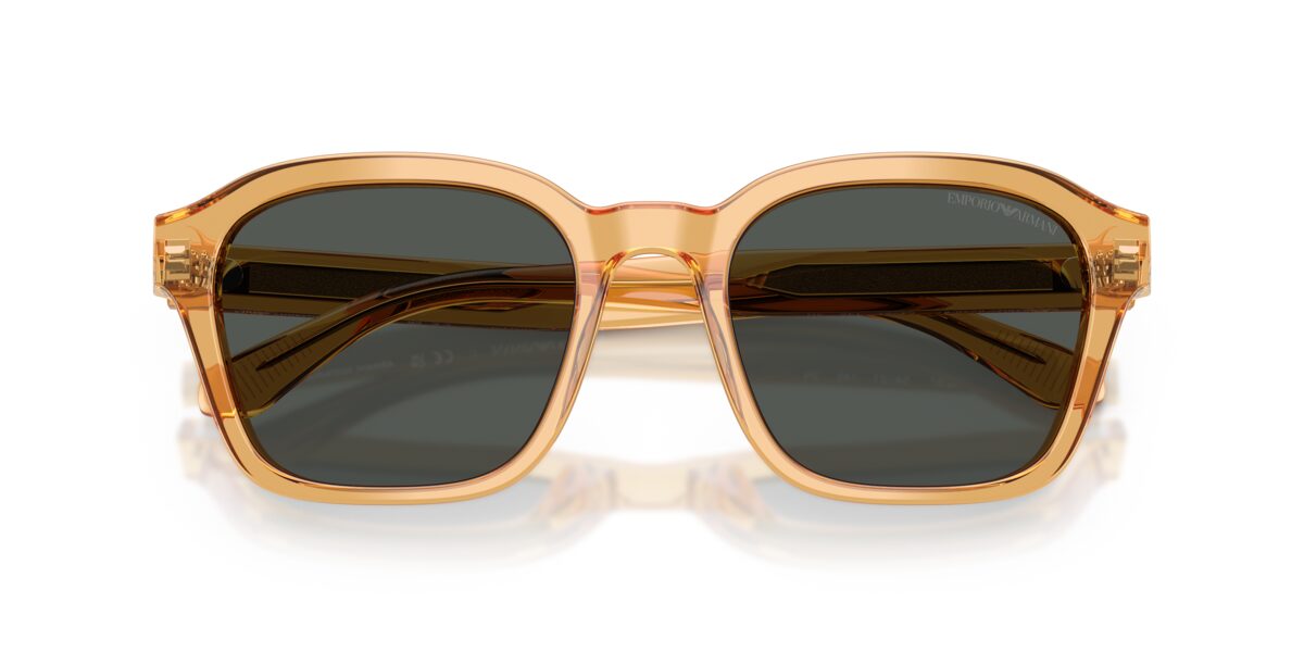 Emporio Armani EA4245U 624687