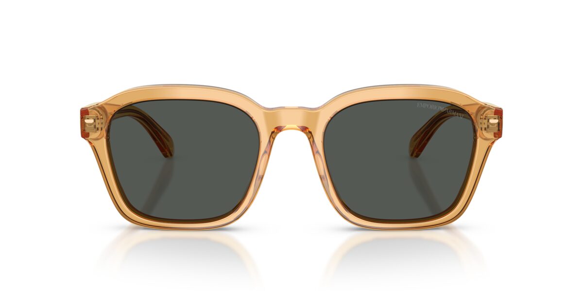 Emporio Armani EA4245U 624687