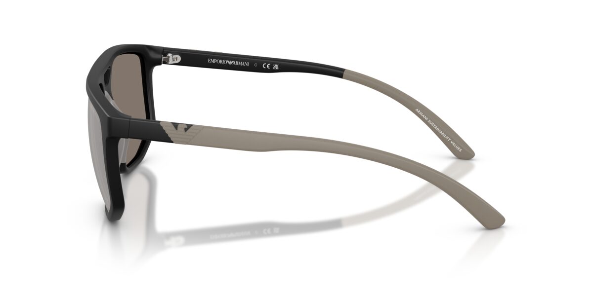 Emporio Armani EA4248U 50016G