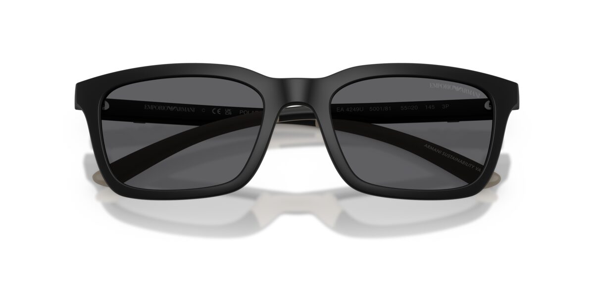 Emporio Armani EA4249U 500181