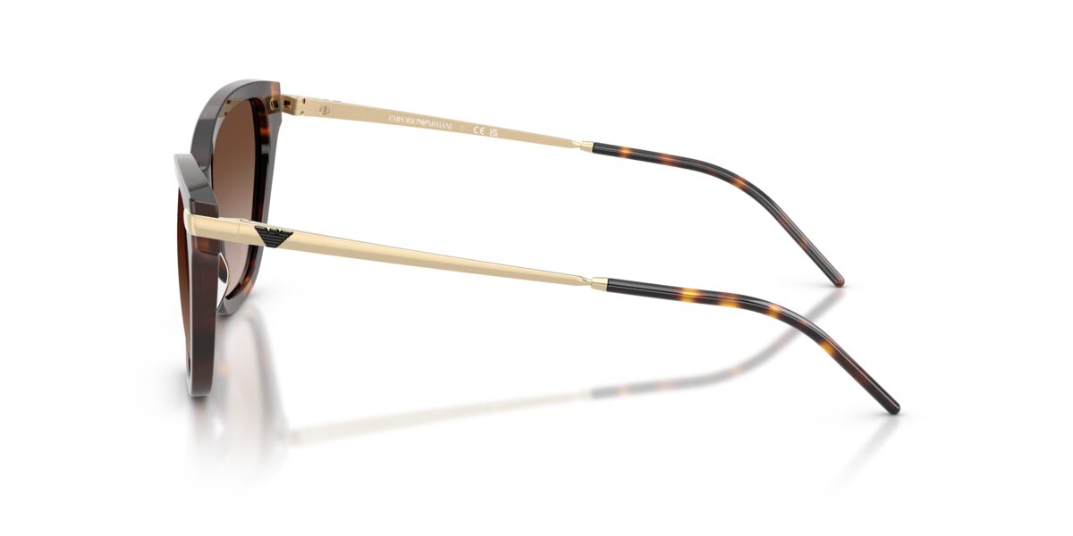 Emporio Armani EA4251 502613