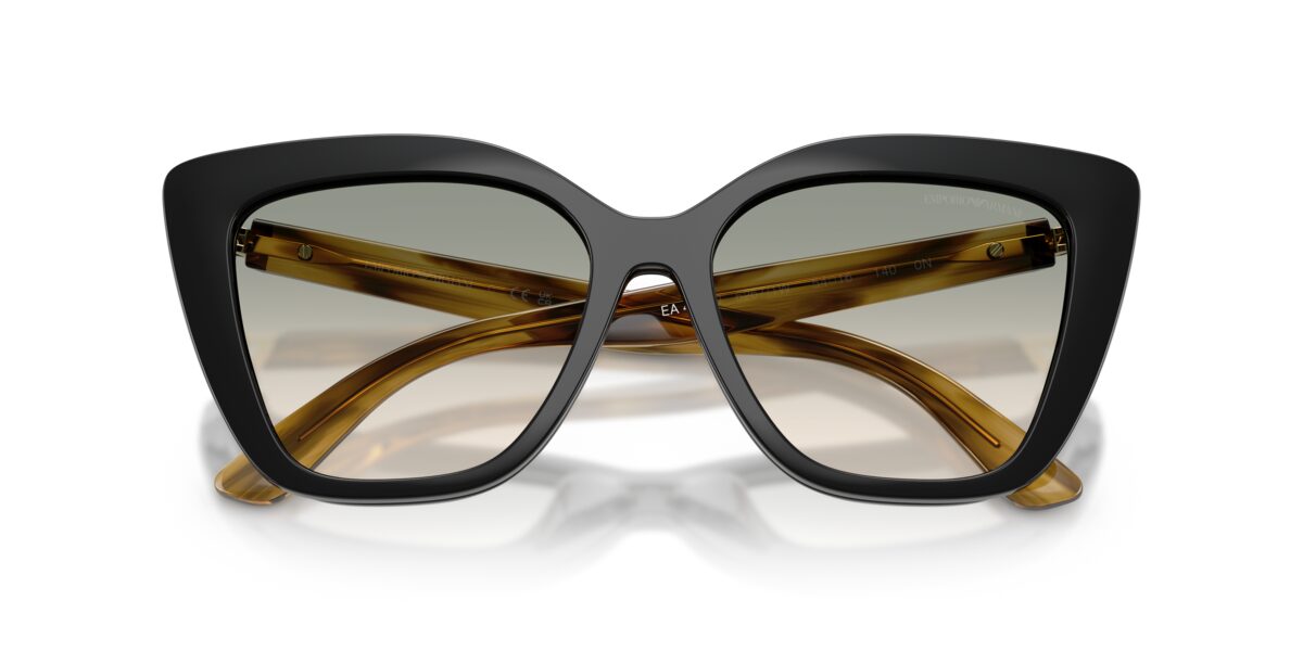 Emporio Armani EA4254U 62671W