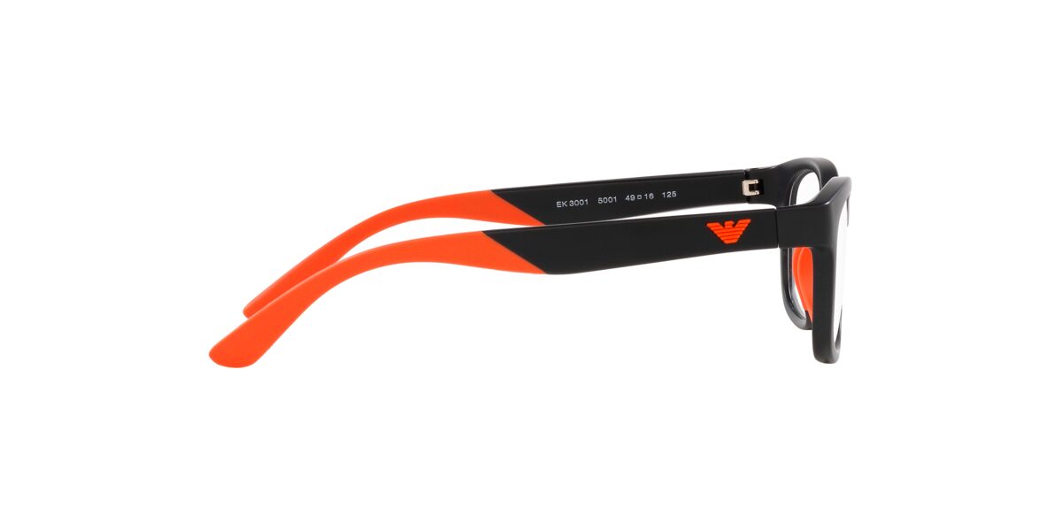Emporio Armani EK3001 5001