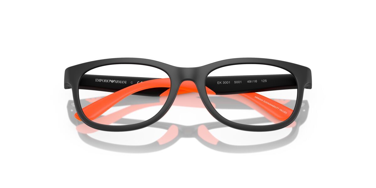 Emporio Armani EK3001 5001