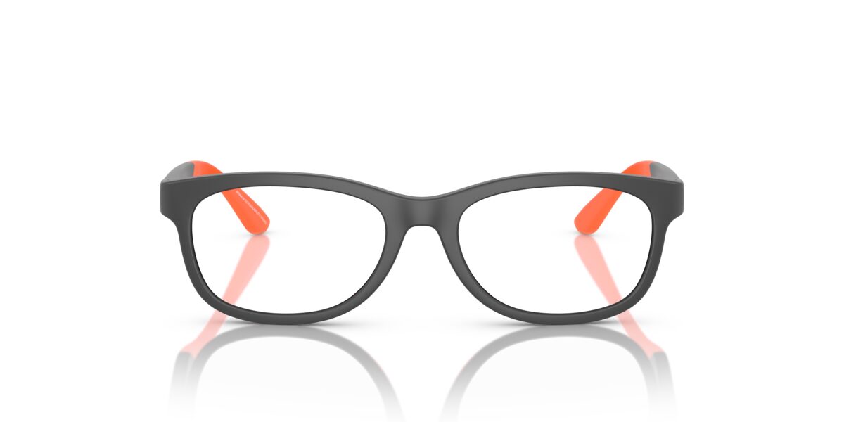 Emporio Armani EK3001 5001