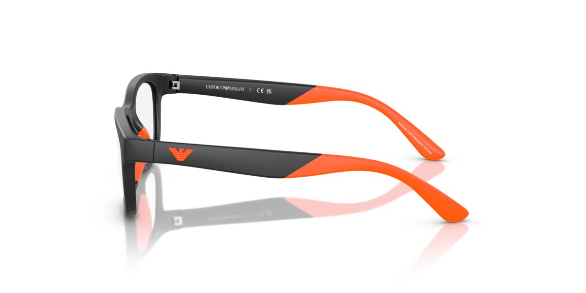 Emporio Armani EK3001 5001