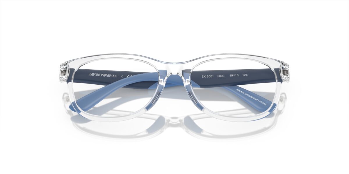 Emporio Armani EK3001 5893