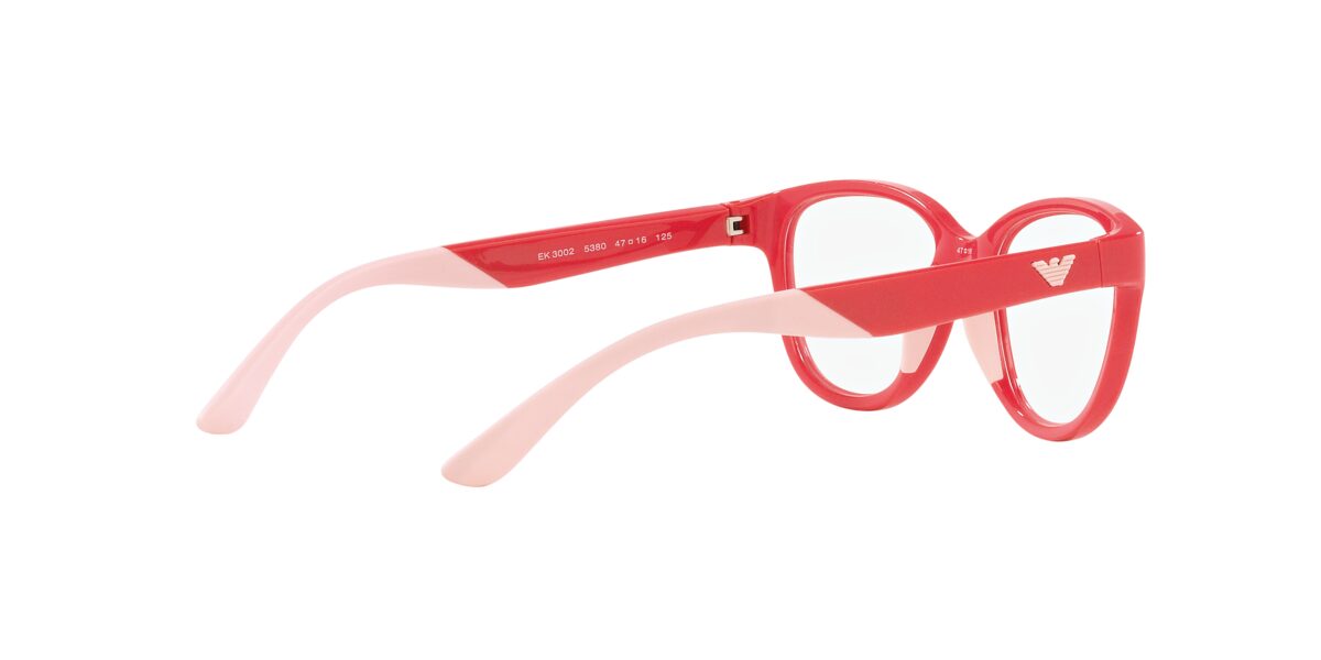 Emporio Armani EK3002 5380