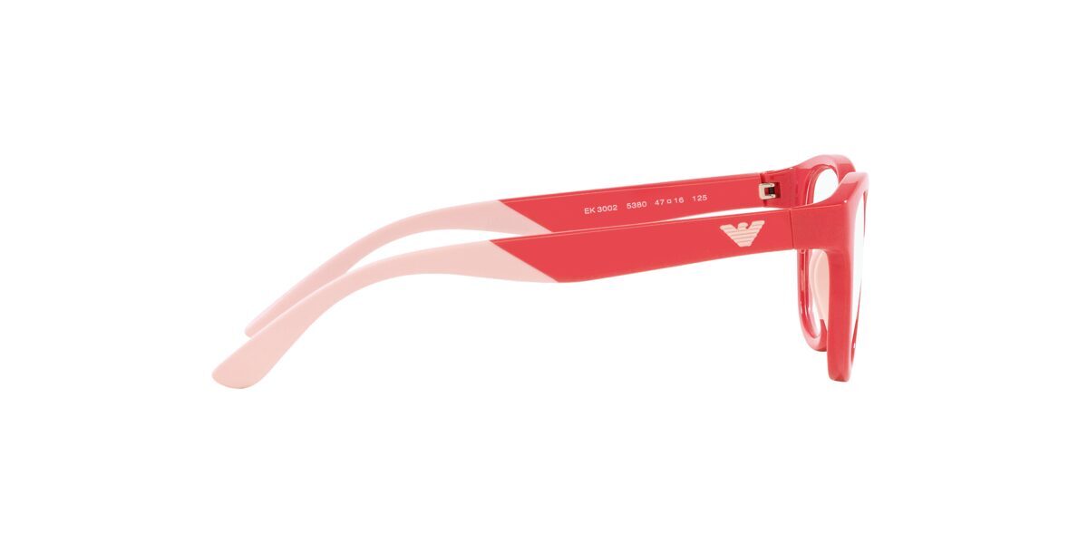 Emporio Armani EK3002 5380