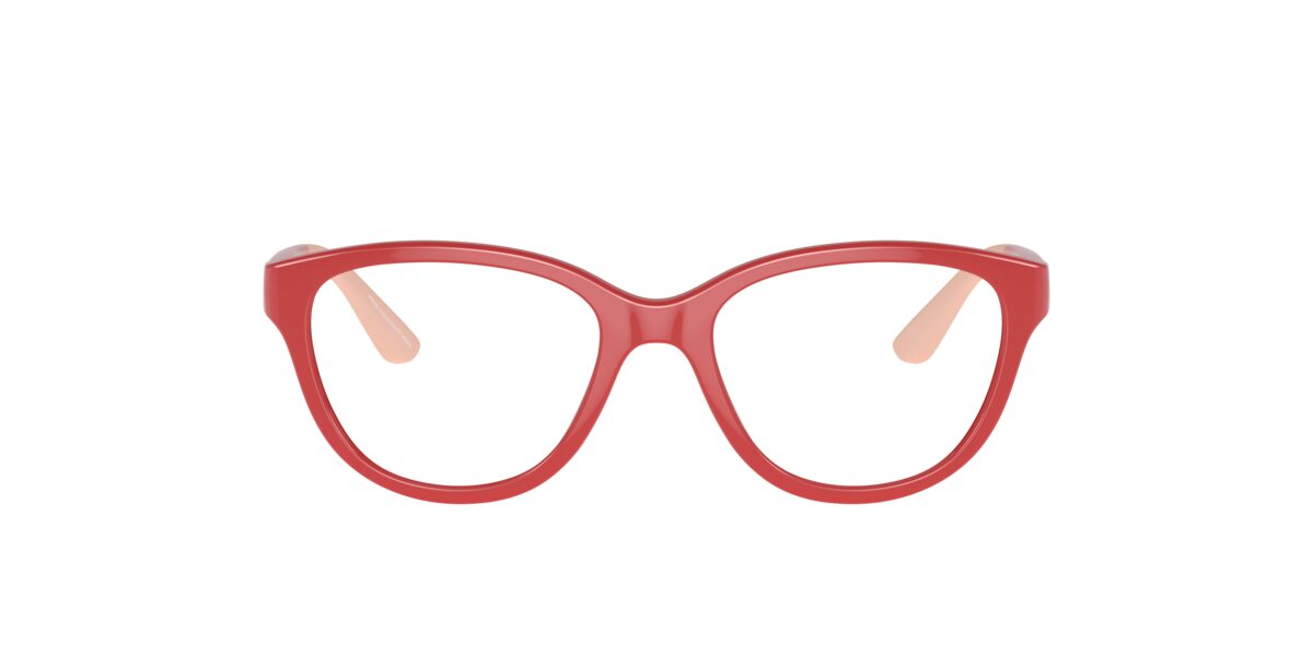 Emporio Armani EK3002 5380