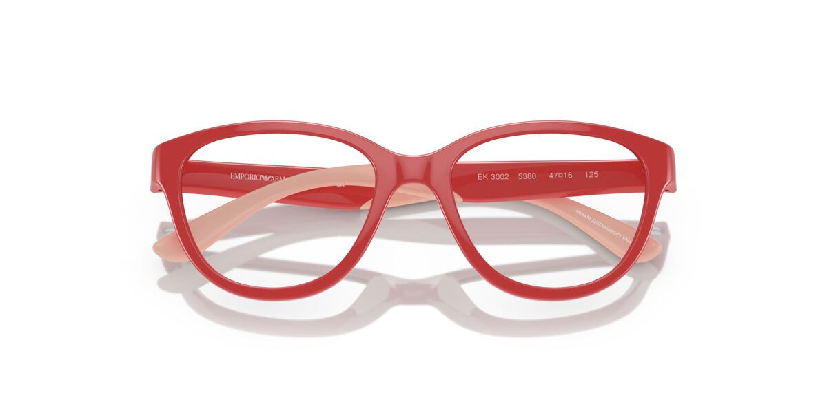 Emporio Armani EK3002 5380