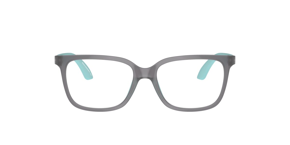 Emporio Armani EK3006 6134