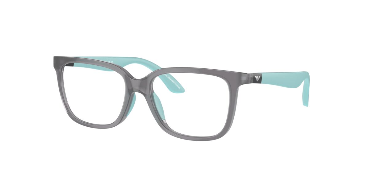 Emporio Armani EK3006 6134