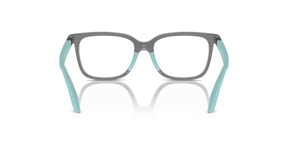 Emporio Armani EK3006 6134